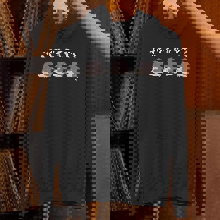 ハリネズミ てくてく ハリネズミ好き ハリネズミの飼い主 おもしろ 可愛い ハリネズミ パーカー