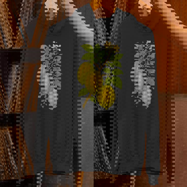 ビンテージ ボタニカル スターフルーツ 自然 アートプリント パーカー