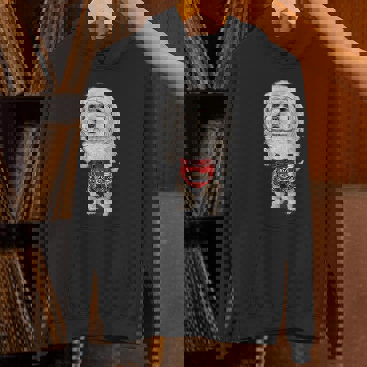 ムエタイキックボクシングチャンピオンとしてのマルチーズドッグ パーカー