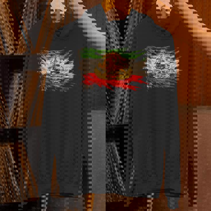 ライオンと太陽のエンブレムが付いたイランの国旗、ヴィンテージペルシャ遺産。 パーカー