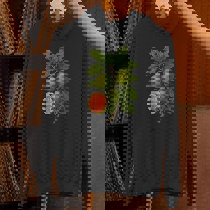 ヴィンテージ ボタニカル グアバ 自然 フルーツ アートプリント パーカー