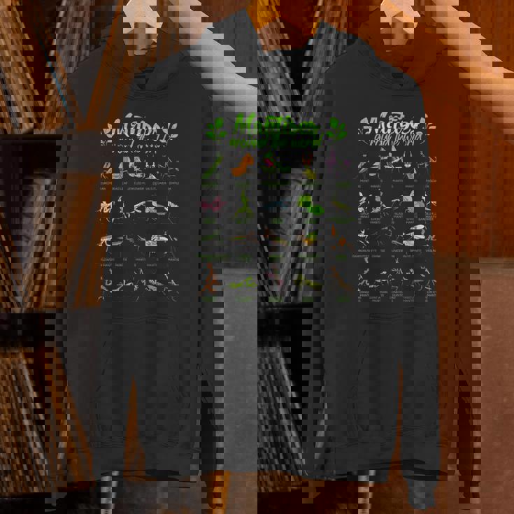 世界のカマキリ カマキリ パーカー