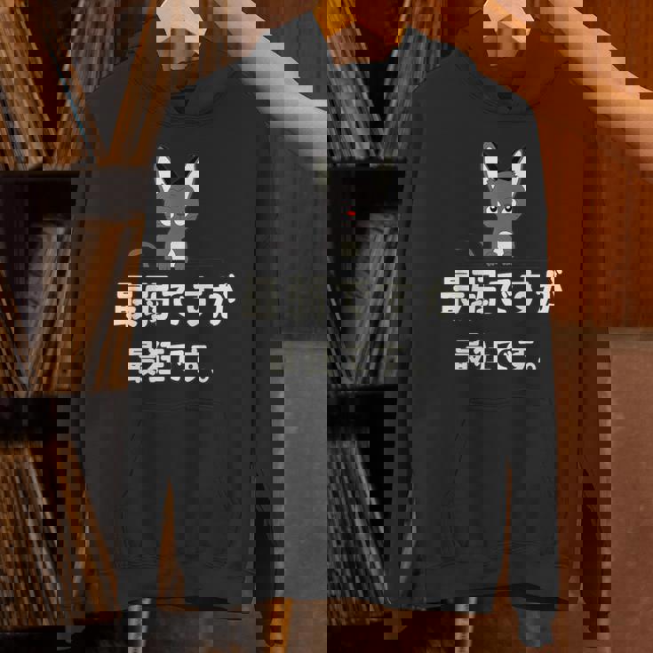 面白い 猫 文字入り 「最弱ですが最狂です。」おもしろギャグ-ジョーク 漢字 最弱ですが最狂です。 パーカー