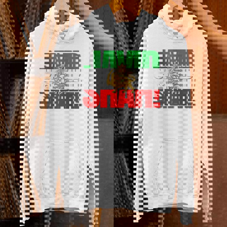 Javidhah イラン国旗 ペルシャパフラヴィー ライオンと太陽 パーカー