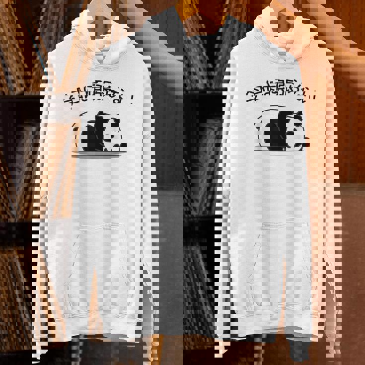 【今日は頑張らない】パンダ おもしろ 面白い熊 可愛い ユーモア ギャグ ネタ ウケ狙い 笑える だらだら ウケる パーカー