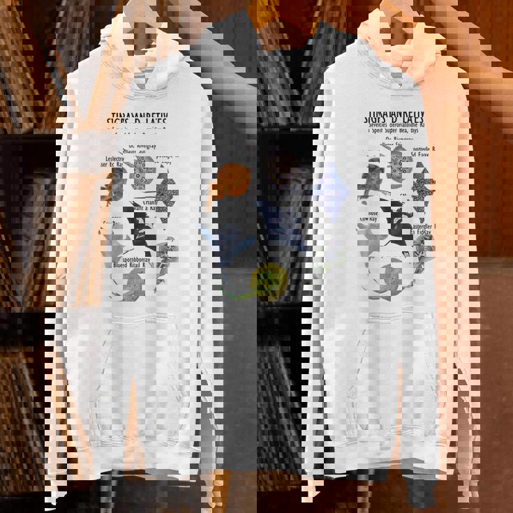 アカエイ種 パーカー