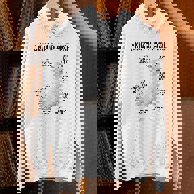 ウエスト・ハイランド・ホワイト・テリア犬の子犬ウェスティの解剖学 パーカー