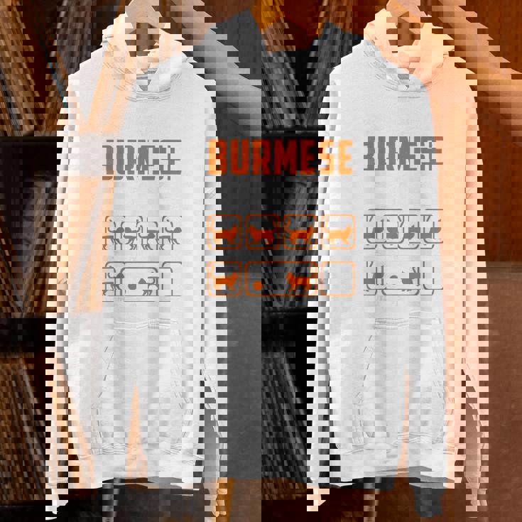 頑固なビルマの猫 トリックおもしろ子猫愛好家 パーカー