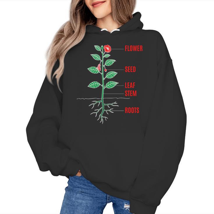 Parts Of a Plant Science For Teachers Kids And Students Women's Hoodie