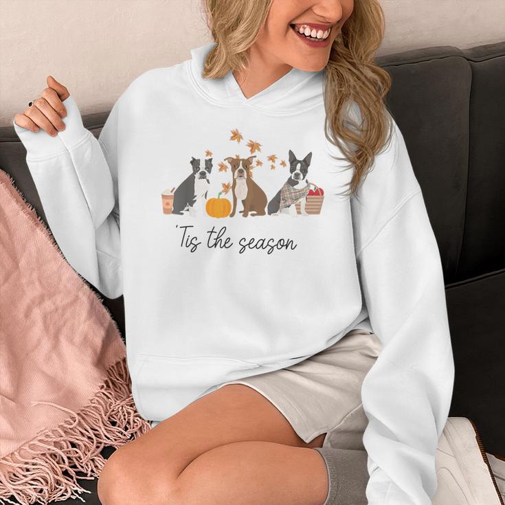 Boston Terrier Fall Pumpkin Tis The Season Autumn Women Women's Hoodie, funny design