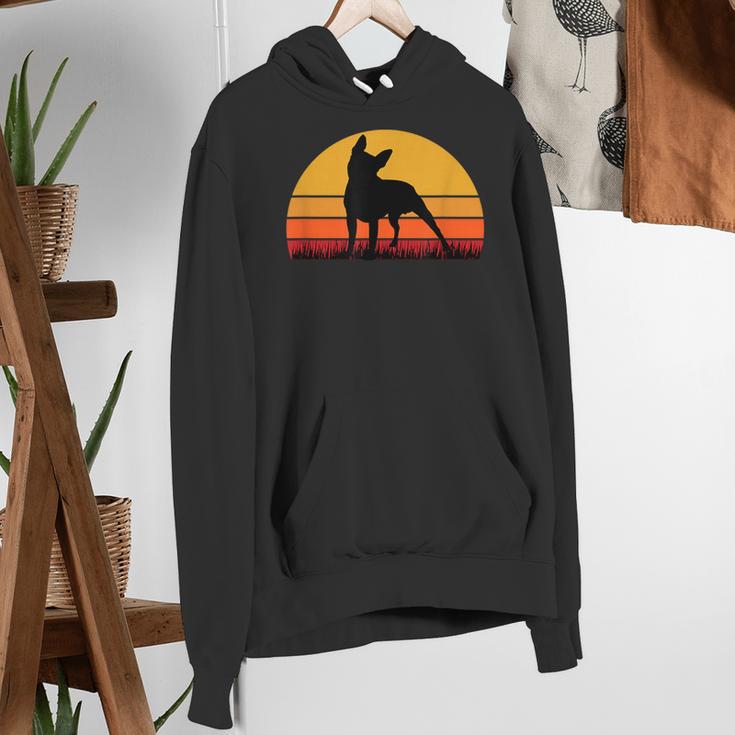 Boston Terrier Bostie Sunset Retro Dog Pet Mom Dad Women's Hoodie, Boston Terrier Mom Hoodies, Boston Terrier Dad Hoodies, funny gift
