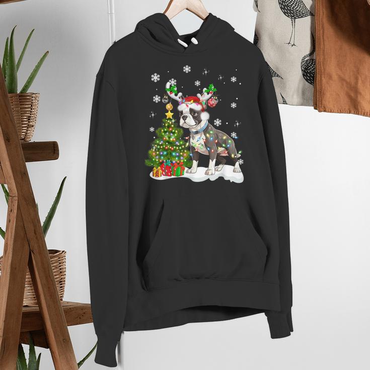 Boston Terrier Christmas Tree Lights Santa Hat Women's Hoodie, Boston Terrier Christmas Hoodies, funny gift