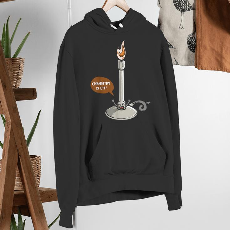 Chemistry Burner Science Lover Biology Chemistry Teacher Women's Hoodie, Science Teacher Hoodies, funny gift
