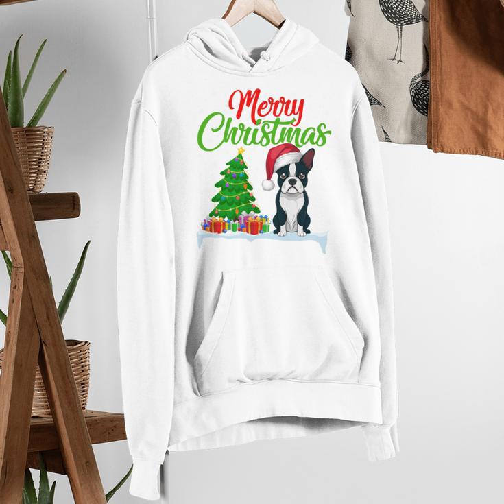 Boston Terrier Christmas Tree Lights Xmas Dog Lover Women's Hoodie, Boston Terrier Christmas Hoodies, funny gift