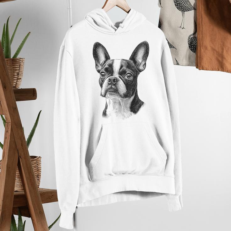 Boston Terrier Dog Motif Pet Illustration Boston Terrier For Men Women Kids Women's Hoodie, funny gift