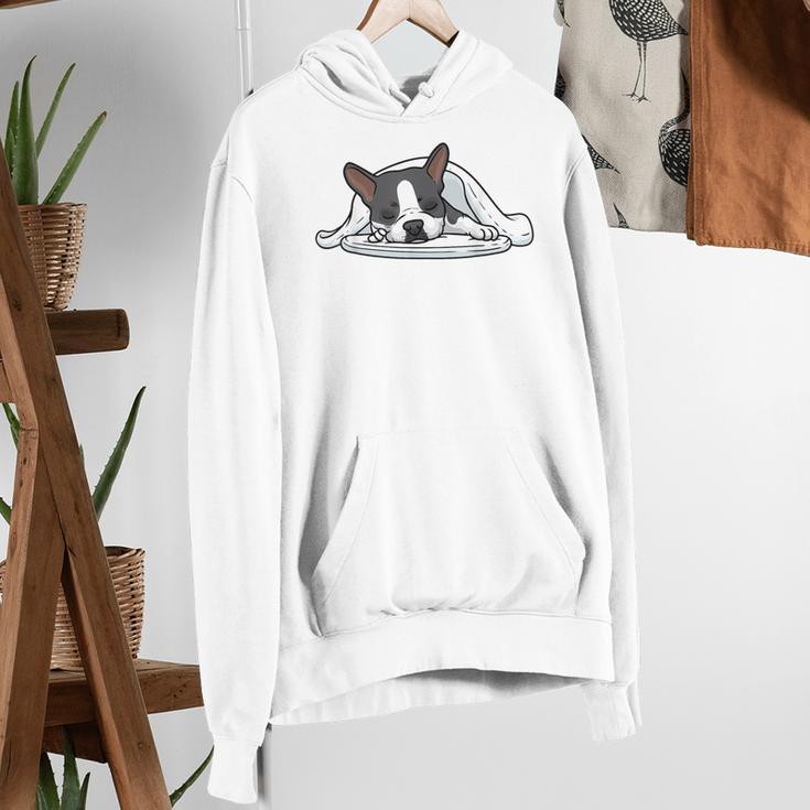 Boston Terrier Dog Official Sleeping Men Women Girls Kids Women's Hoodie, funny gift