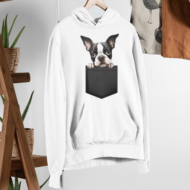 Boston Terrier Dog Puppy Dog In Pocket Cute Pet Lover Women's Hoodie, funny gift