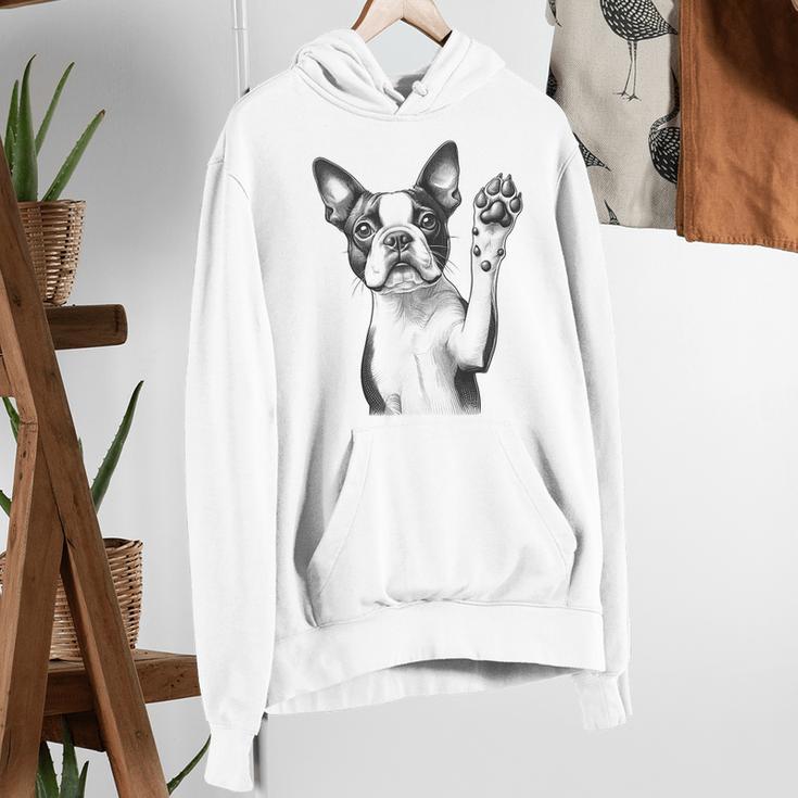 Boston Terrier Dog Raising Paw Idea Men Women Women's Hoodie, funny gift
