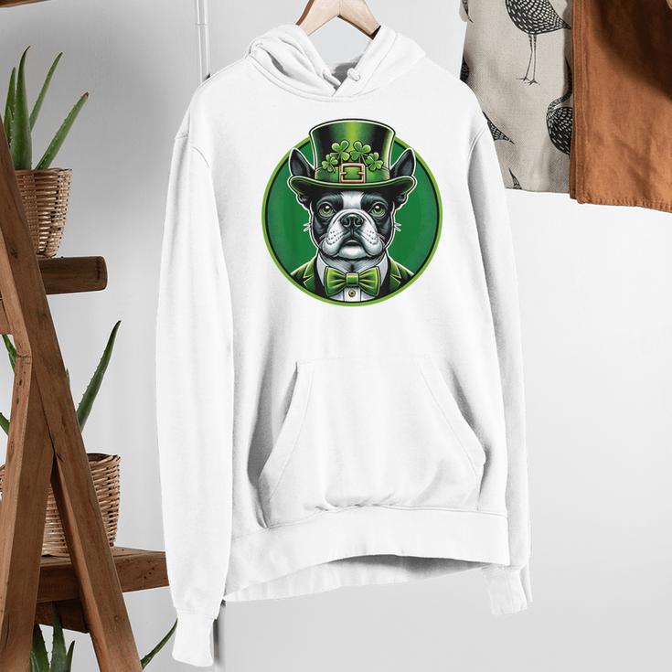 Boston Terrier Dog St Patricks Day Irish Pet Lover Men Women Kids Women's Hoodie, funny gift