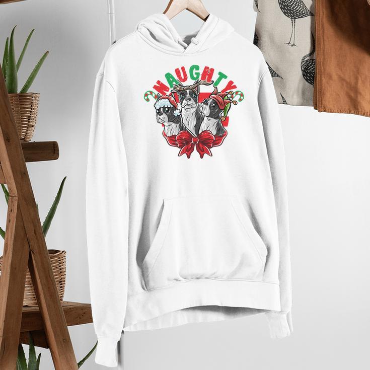 Boston Terrier Santa Claus Elf Reindeer Christmas Dog X-Mas Women's Hoodie, Boston Terrier Christmas Hoodies, funny gift