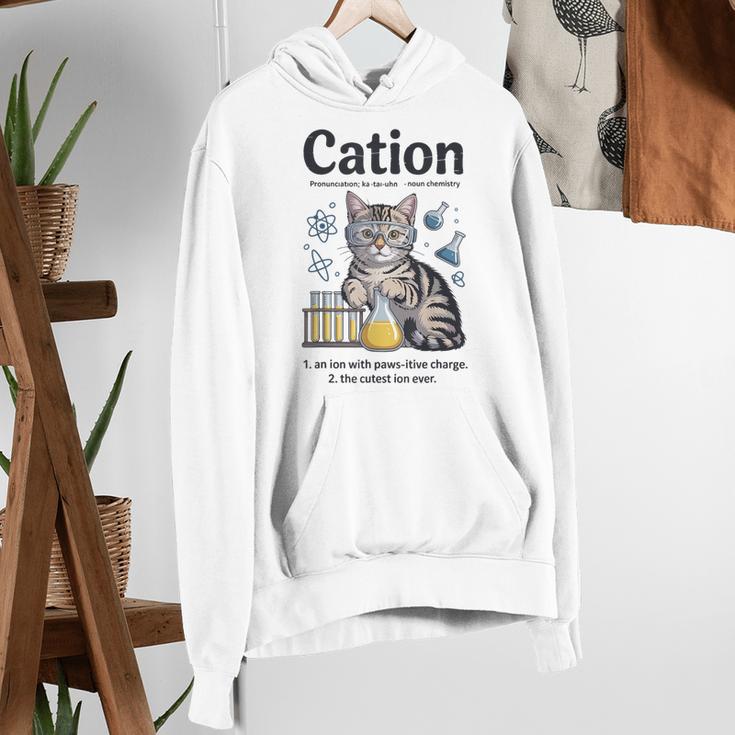 Cation Shirt Cat Science Chemistry Teacher Chemist Pun Women's Hoodie, Science Teacher Hoodies, funny gift Cation Shirt Cat Science Chemistry Teacher Chemist Pun Women's Hoodie, Science Teacher Hoodies, funny gift