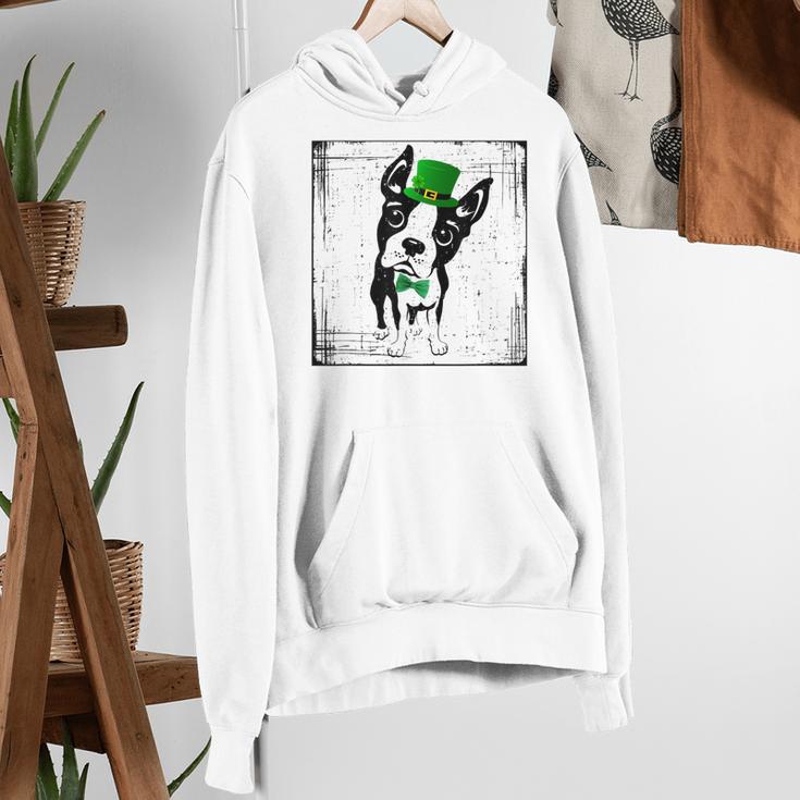 Cool Saint Patrick's Boston Terrier T Shirt For Dogs Lovers Women's Hoodie, funny gift