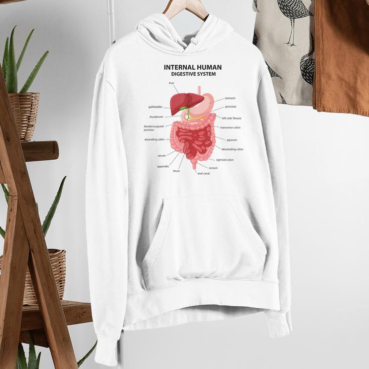 Digestive System Anatomy Anatomical Biology Teacher Men Women Women's Hoodie, funny gift Digestive System Anatomy Anatomical Biology Teacher Men Women Women's Hoodie, funny gift