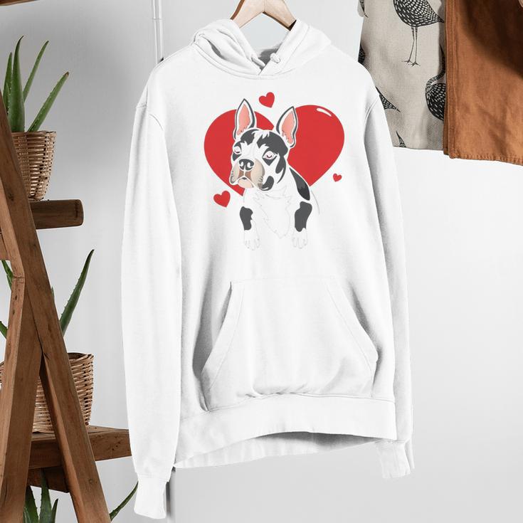 Valentine's Day Boston Terrier Heart Women's Hoodie, funny gift