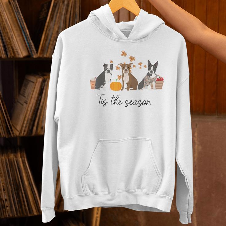 Boston Terrier Fall Pumpkin Tis The Season Autumn Women Women's Hoodie, gift for family, gift for coworker