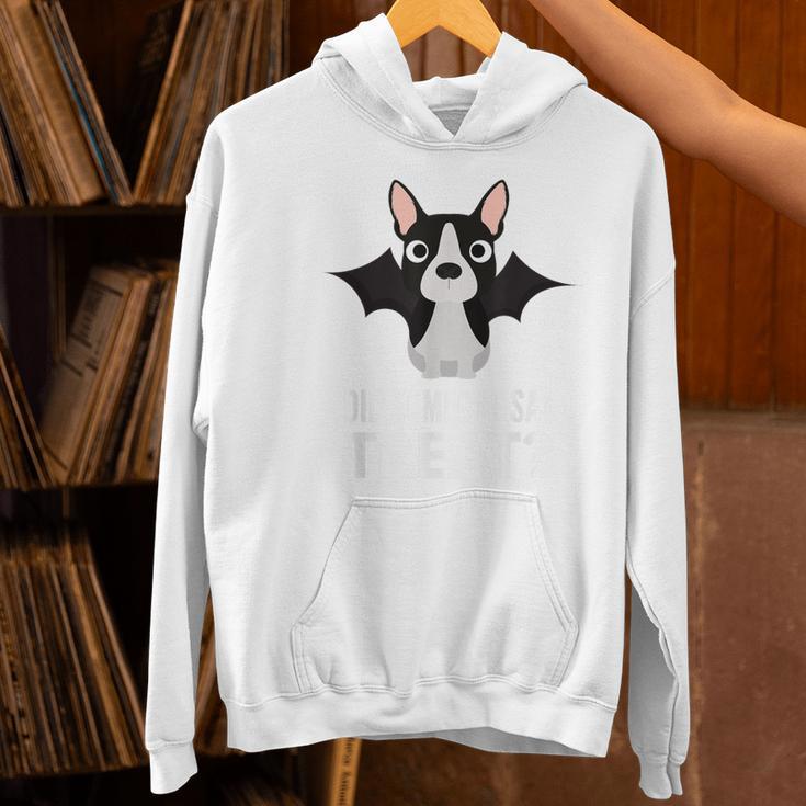 Boston Terrier Halloween Shirt Did Someone Say Treat Women's Hoodie, Boston Terrier Halloween Hoodies, gift for family, gift for coworker