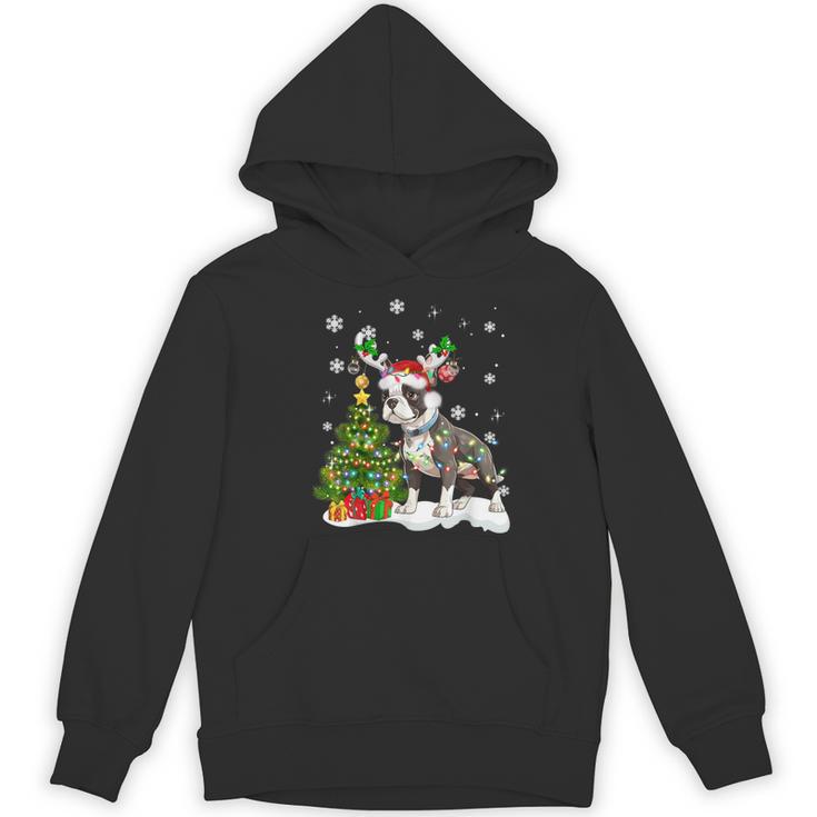 Boston Terrier Christmas Tree Lights Santa Hat Women's Hoodie, novelty gifts, funny gifts