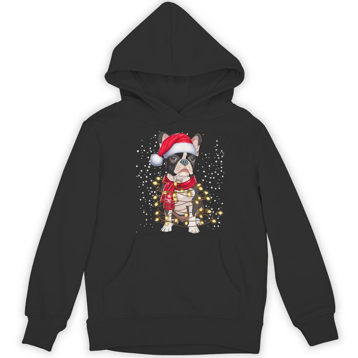 Boston Terrier Dog Ugly Christmas Dog Xmas For Men Women Kids Women's Hoodie, novelty gifts, funny gifts