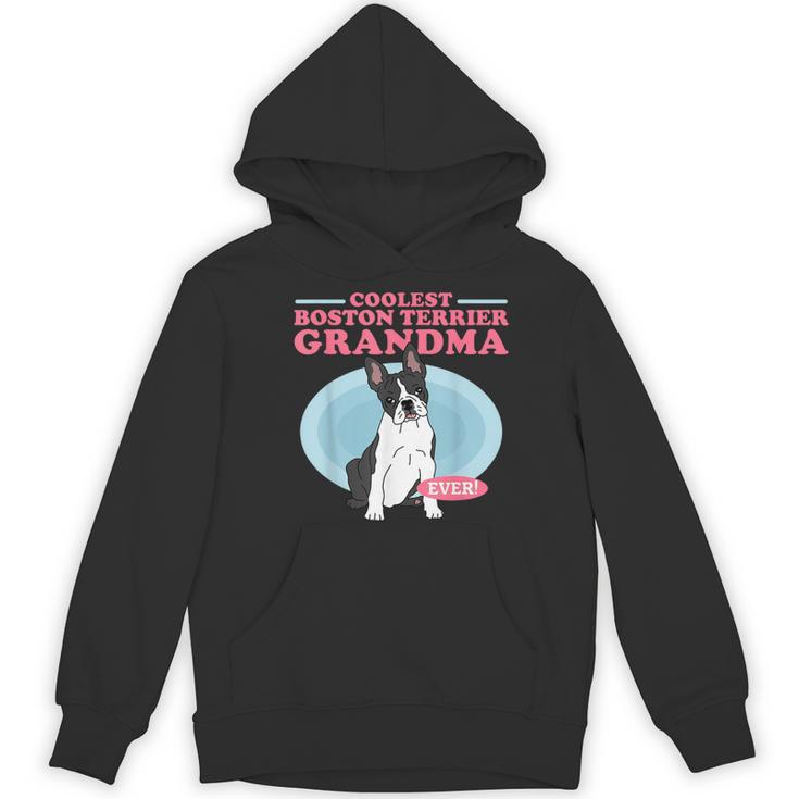 Boston Terrier Grandma Bostie Dog Owner Boston Terrier Men Women Women's Hoodie, novelty gifts, funny gifts