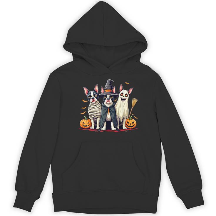 Boston Terrier Halloween Costume Mummy Witch Ghost Dog Lover For Men Women Kids Women's Hoodie, novelty gifts, funny gifts