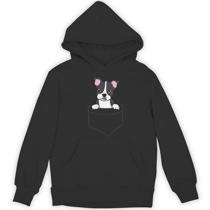 Boston Terrier In The Pocket Cute Pocket Boston Terrier Women's Hoodie, novelty gifts, funny gifts