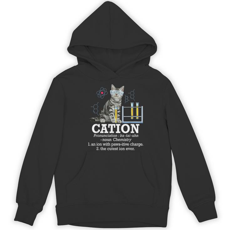 Cation Chemistry Humor Science Teacher Cat Pun Women's Hoodie, novelty gifts, funny gifts Cation Chemistry Humor Science Teacher Cat Pun Women's Hoodie, novelty gifts, funny gifts