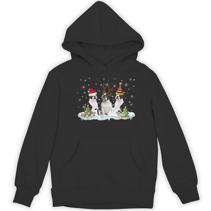 Christmas Boston Terrier Santa Dog Lover Women's Hoodie, novelty gifts, funny gifts