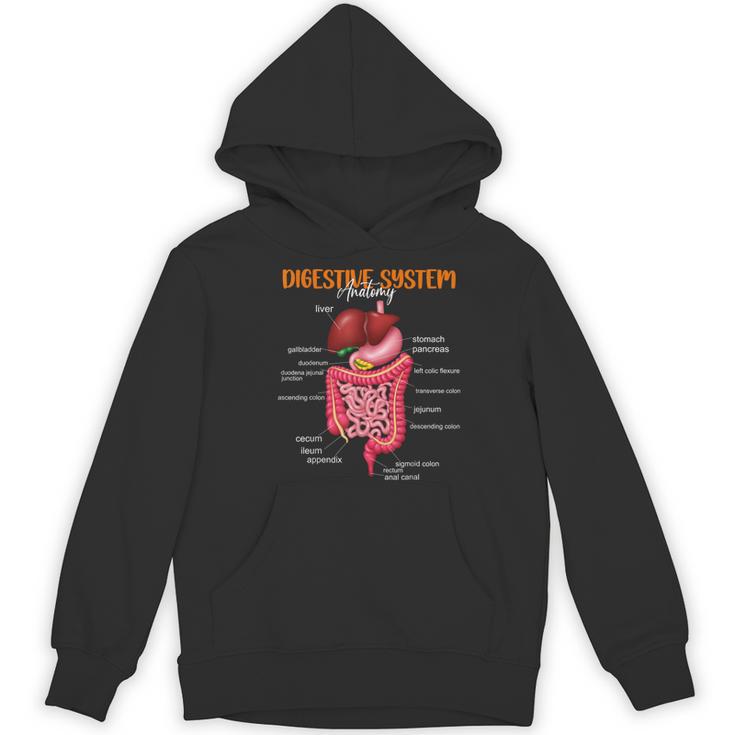 Digestive System Anatomy Anatomical Biology Teacher Women's Hoodie, novelty gifts, funny gifts Digestive System Anatomy Anatomical Biology Teacher Women's Hoodie, novelty gifts, funny gifts