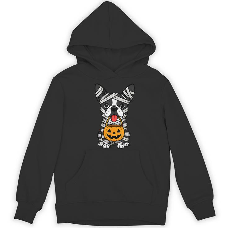 Halloween Dog Boston Terrier Mummy Costume Men Women Kids Women's Hoodie, novelty gifts, funny gifts