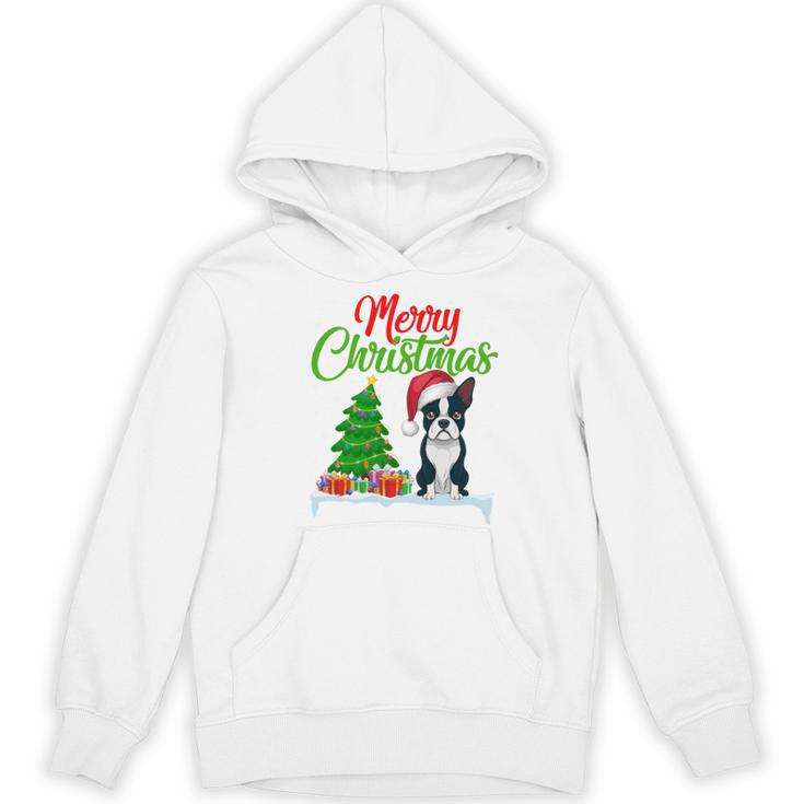 Boston Terrier Christmas Tree Lights Xmas Dog Lover Women's Hoodie, novelty gifts, funny gifts