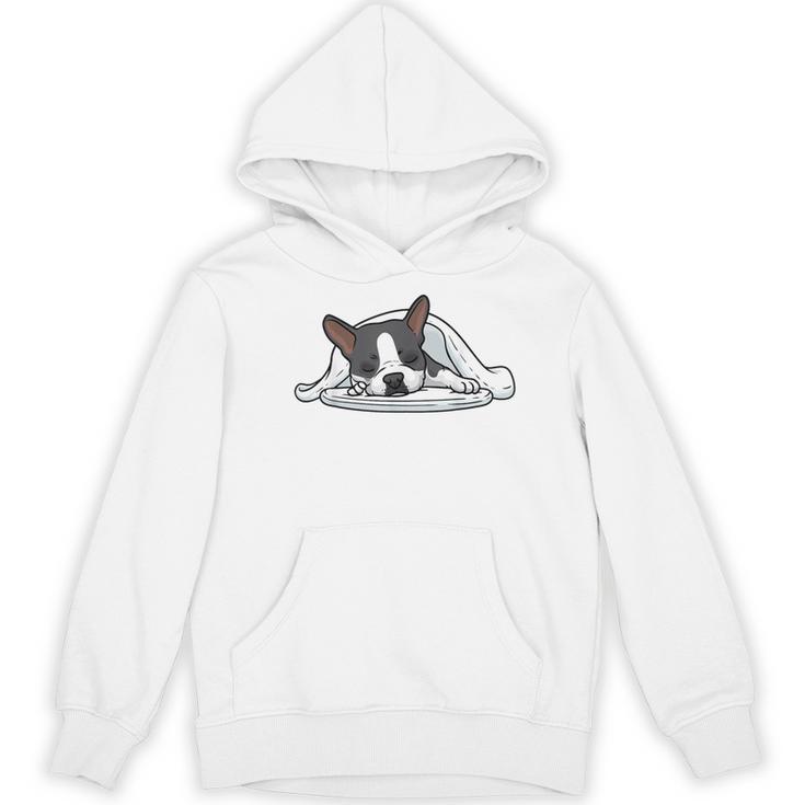 Boston Terrier Dog Official Sleeping Men Women Girls Kids Women's Hoodie, novelty gifts, funny gifts