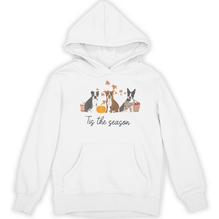 Boston Terrier Fall Pumpkin Tis The Season Autumn Women Women's Hoodie, novelty gifts, funny gifts