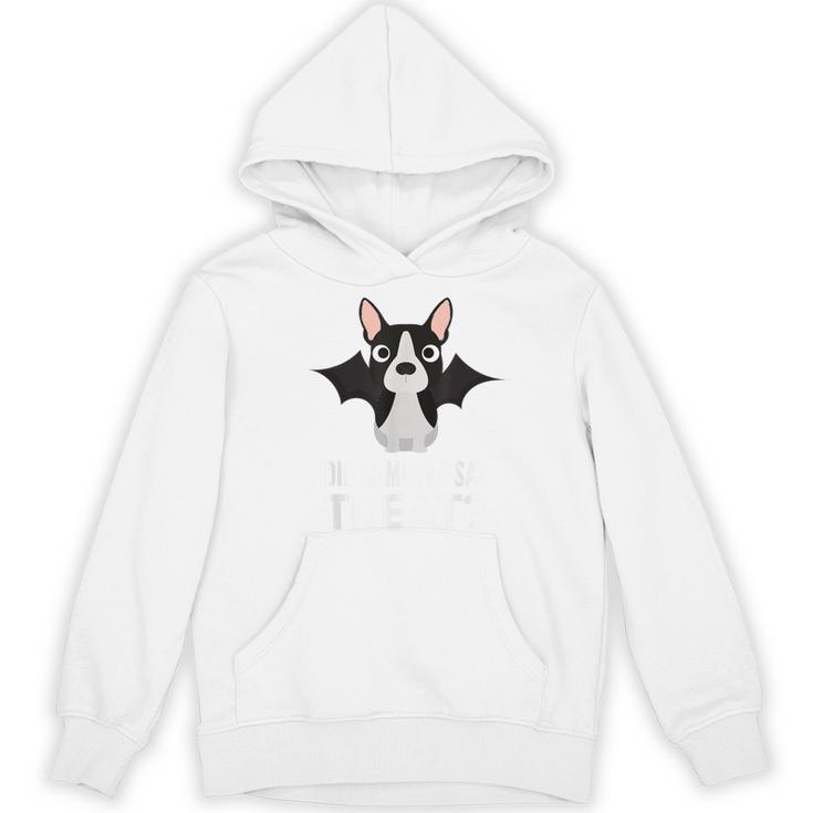 Boston Terrier Halloween Shirt Did Someone Say Treat Women's Hoodie, novelty gifts, funny gifts