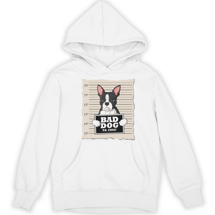 Boston Terrier Mug Shot Guilty Dog Women's Hoodie, novelty gifts, funny gifts