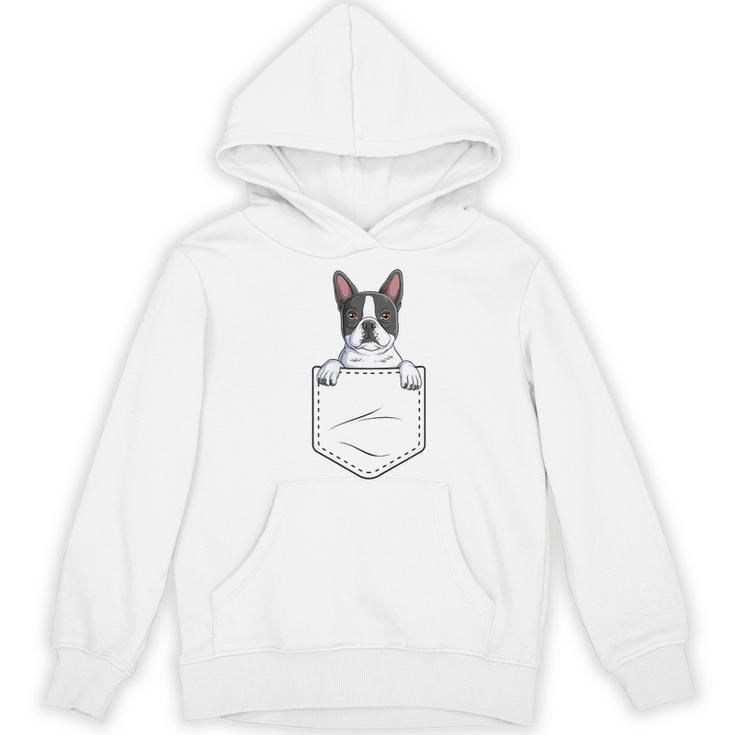 Boston Terrier In The Pocket Cute Boston Terrier Dog Lovers Men Women Girls Kids Women's Hoodie, novelty gifts, funny gifts