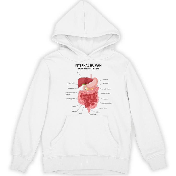 Digestive System Anatomy Anatomical Biology Teacher Men Women Women's Hoodie, novelty gifts, funny gifts Digestive System Anatomy Anatomical Biology Teacher Men Women Women's Hoodie, novelty gifts, funny gifts