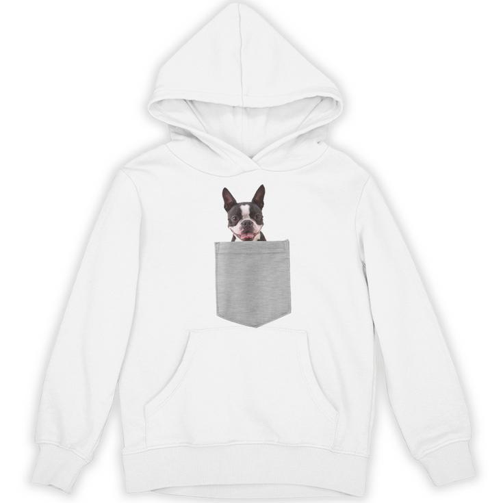 Dog In Your Pocket Boston Terrier For Men Women Girls Kids Women's Hoodie, novelty gifts, funny gifts