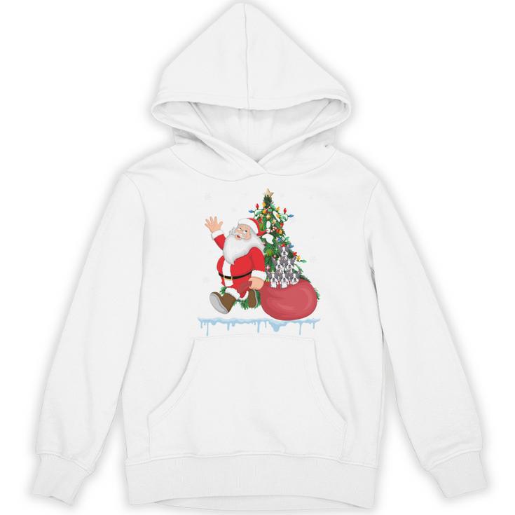 Santa Ugly Christmas Tree Lights Boston Terrier Dog Lover Women's Hoodie, novelty gifts, funny gifts
