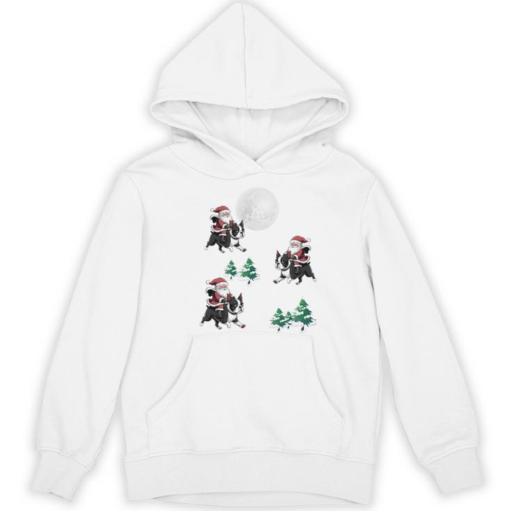 Xmas Tree Santa Riding Boston Terrier Christmas Women's Hoodie, novelty gifts, funny gifts