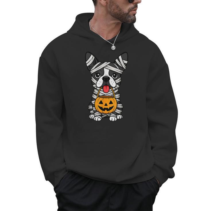 Halloween Dog Boston Terrier Mummy Costume Men Women Kids Men Hoodie